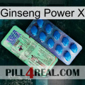 Ginseng Power X new02